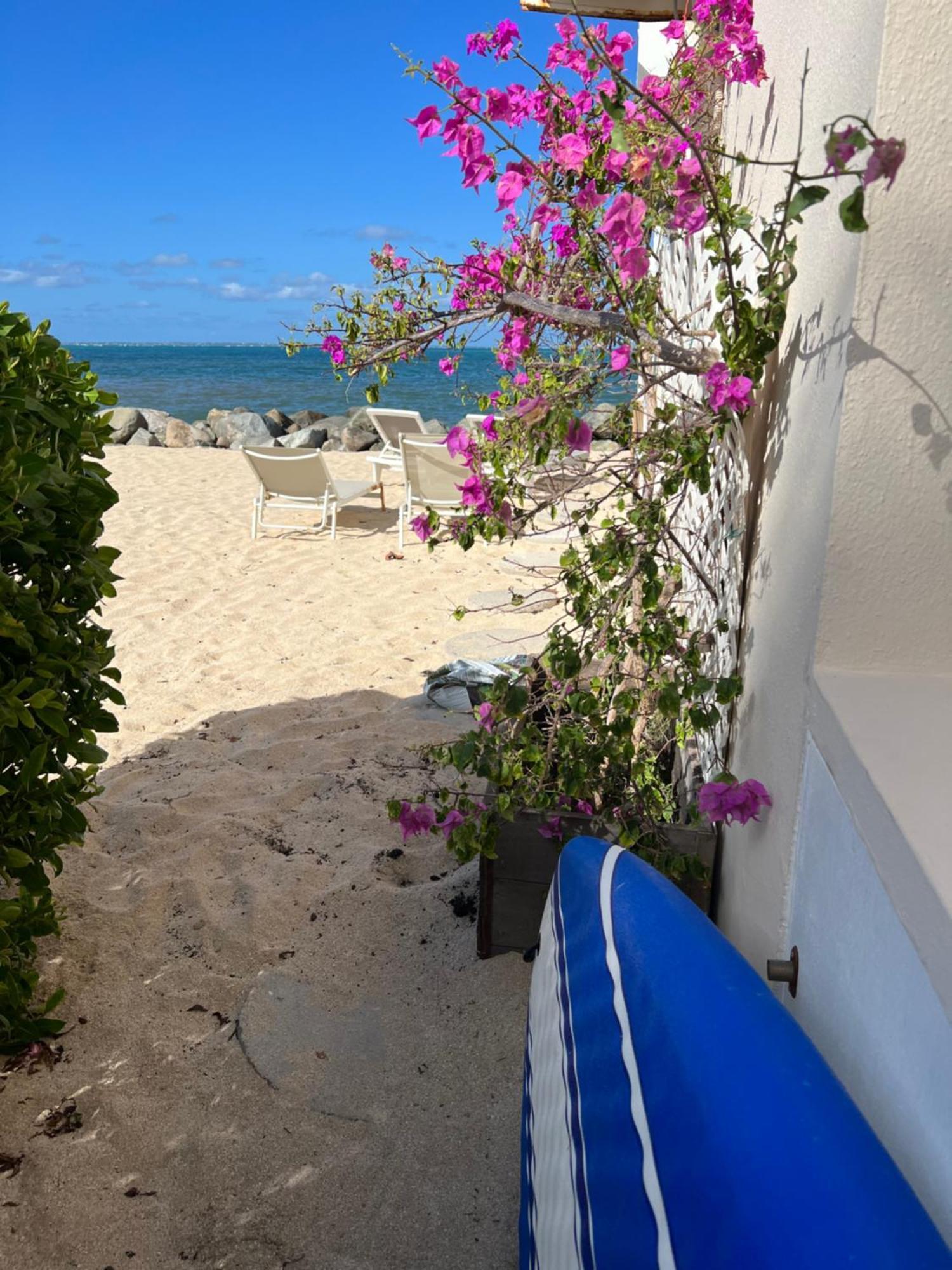 Sweet Home Sxm Baie Nettle Pieds Dans L'Eau Sandy Ground 외부 사진